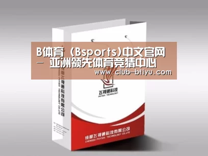 项目名称十三