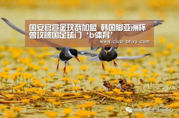 b体育中国官网